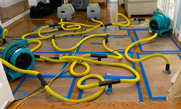 Professional Flood Damage Restoration technician working in Greenfield, TN